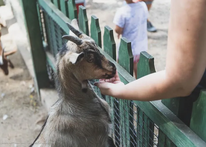 Gorecznik 3* Ostrów Wielkopolski
